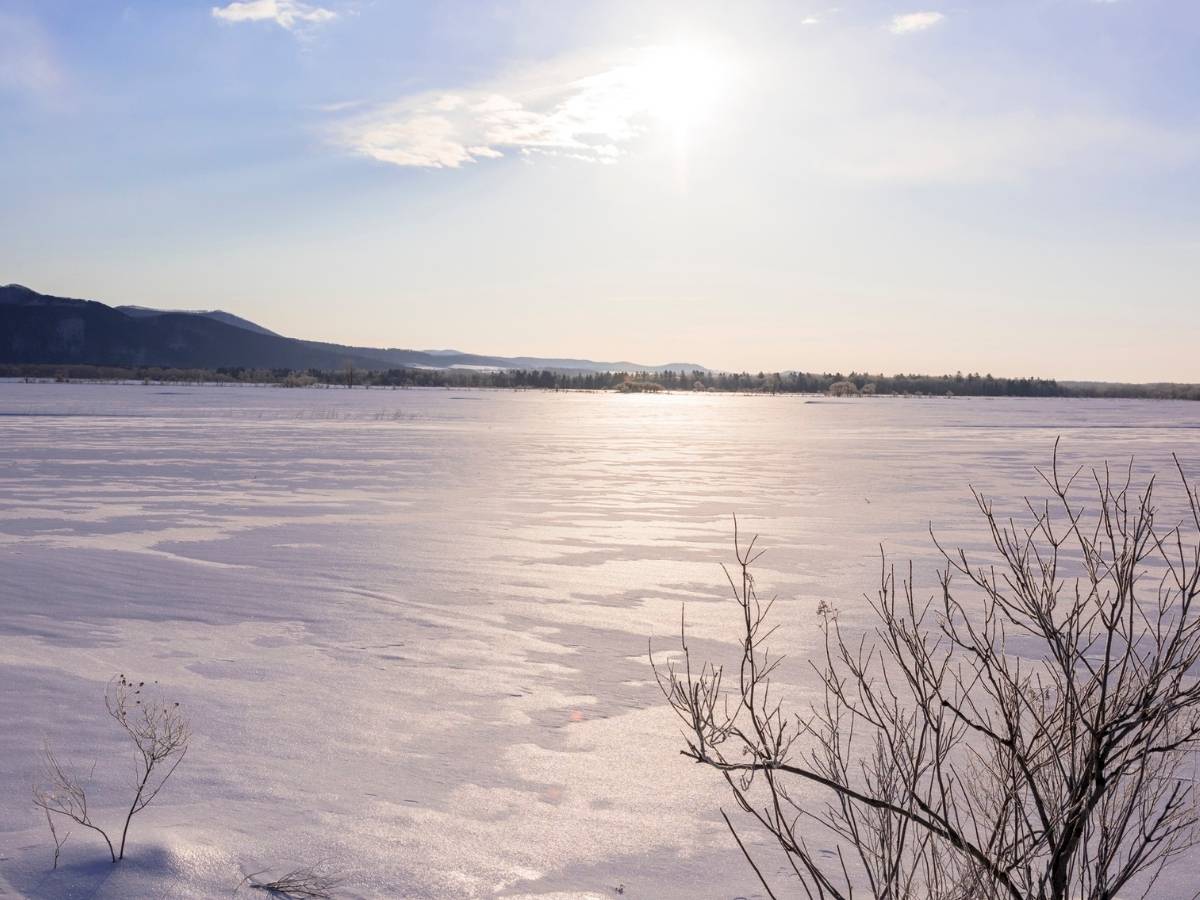 Winter & Vitamin D Supplementation: Boost Your Fitness & Health