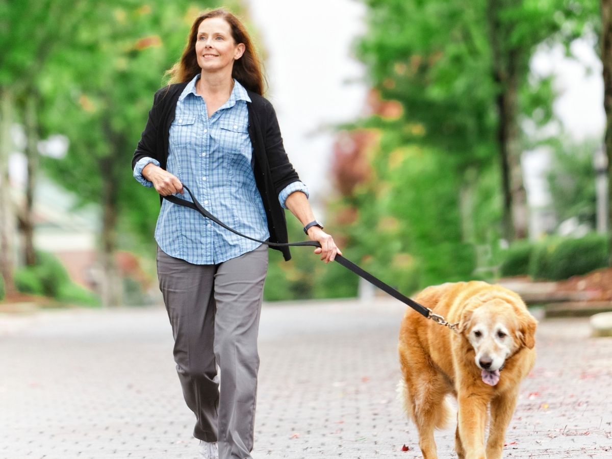 Let's Break a Sweat: How Much You Can Burn in 30 Minutes of Activity