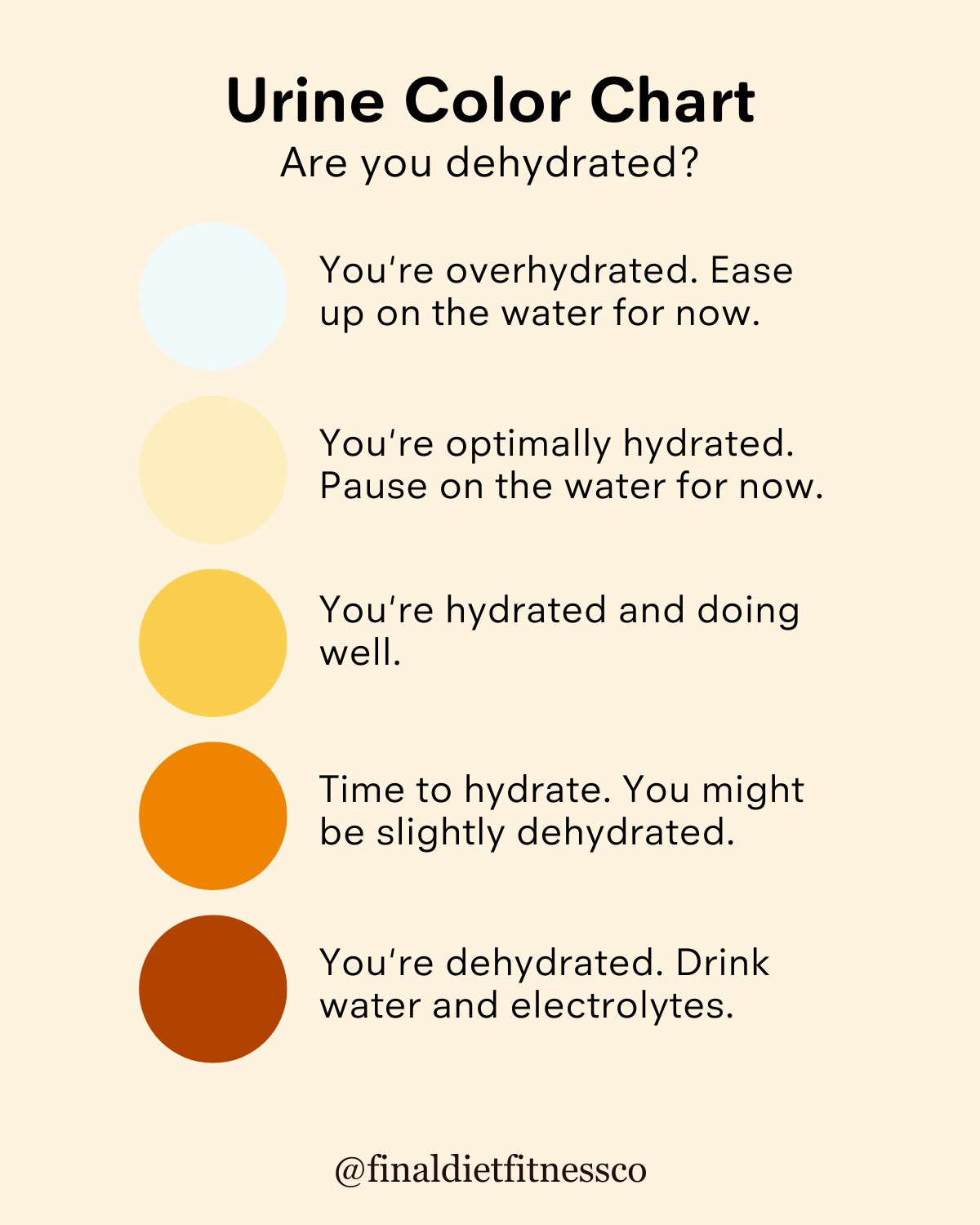 Hydration Tips for Peak Performance: How Water Fuels Your Body