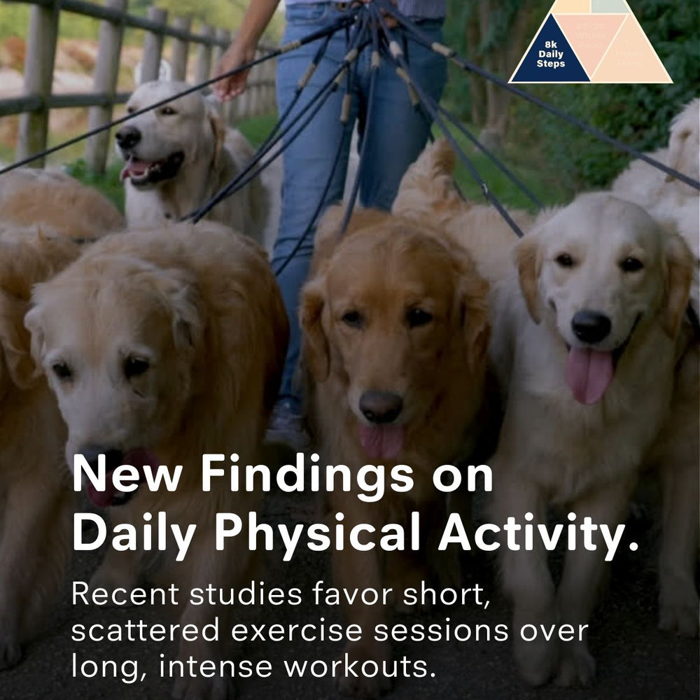 New Findings on  Daily Physical Activity