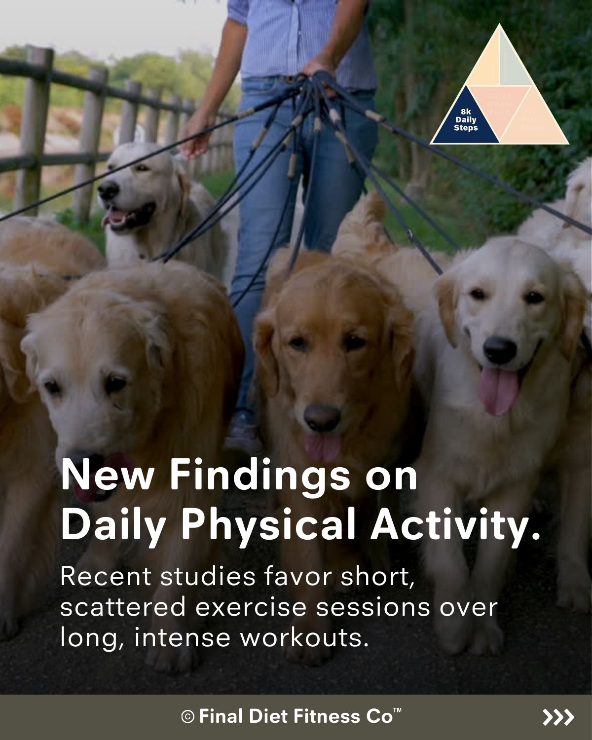 New Findings on  Daily Physical Activity