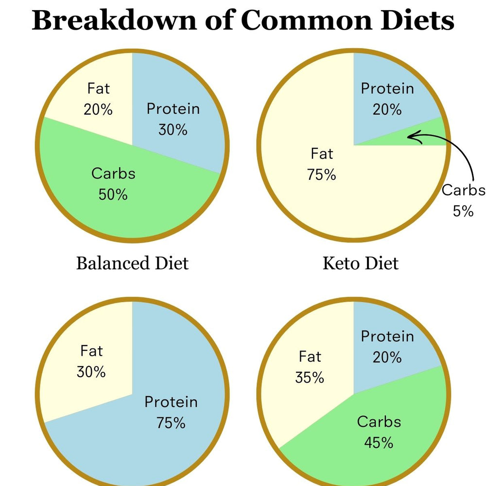 Macronutrient Distribution Breakdown of Common Diets