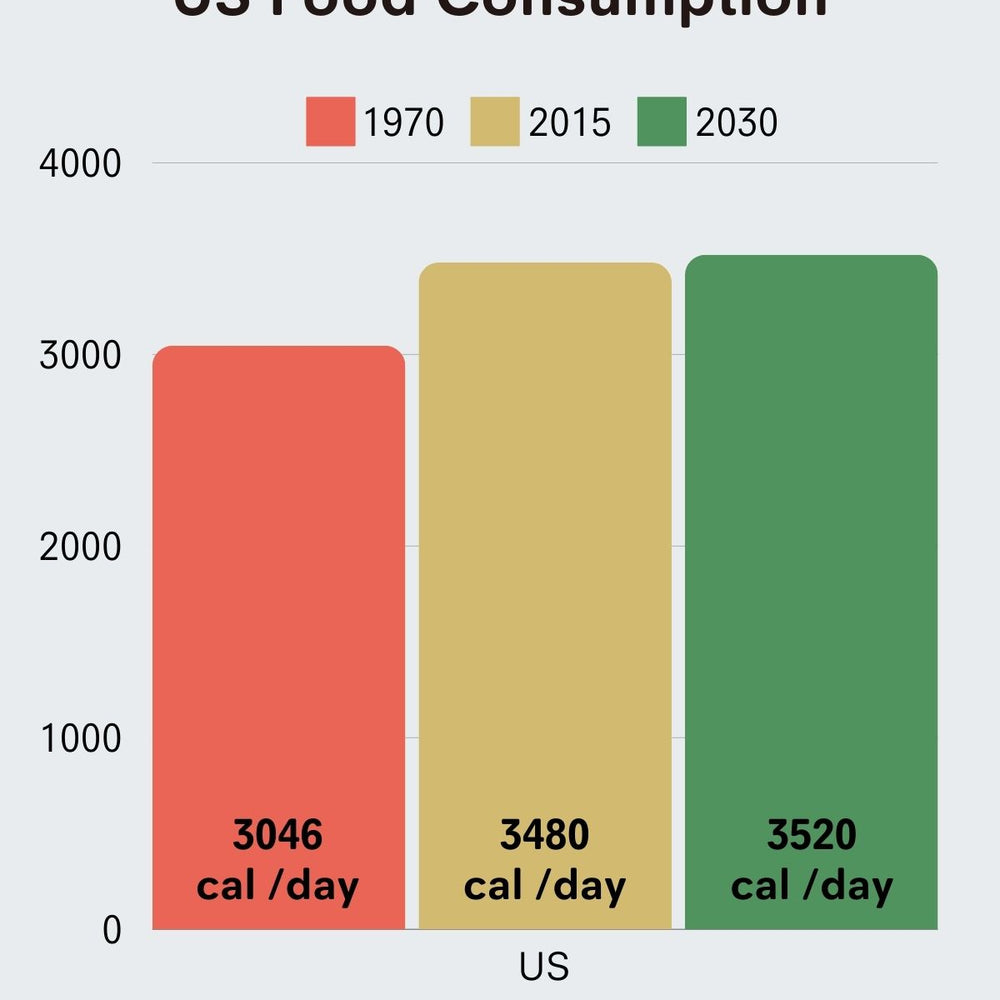 Per Capita Food Consumption, 1970 to 2030