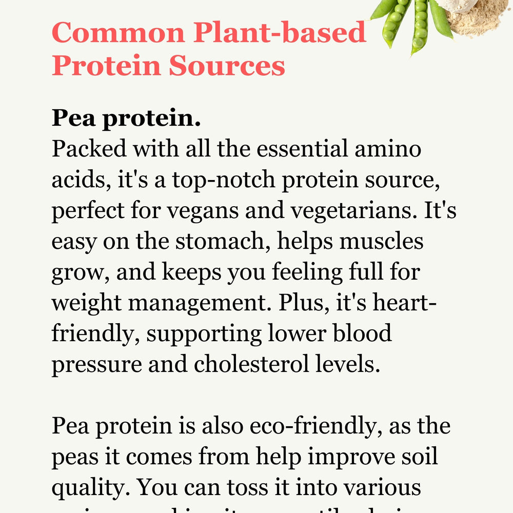 Common Plant-Based Protein Sources