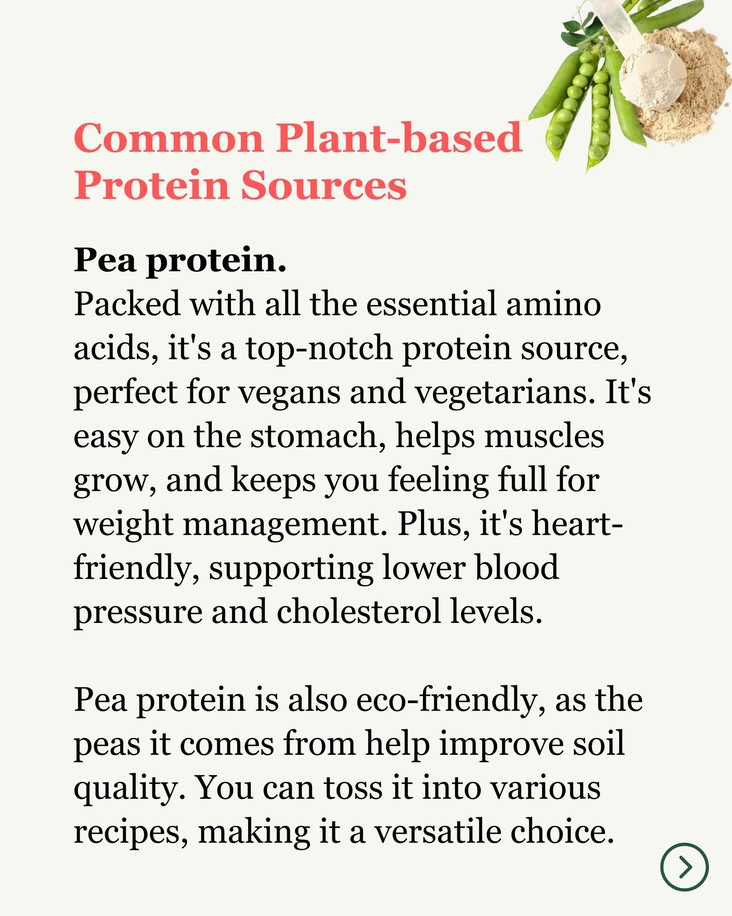 Common Plant-Based Protein Sources