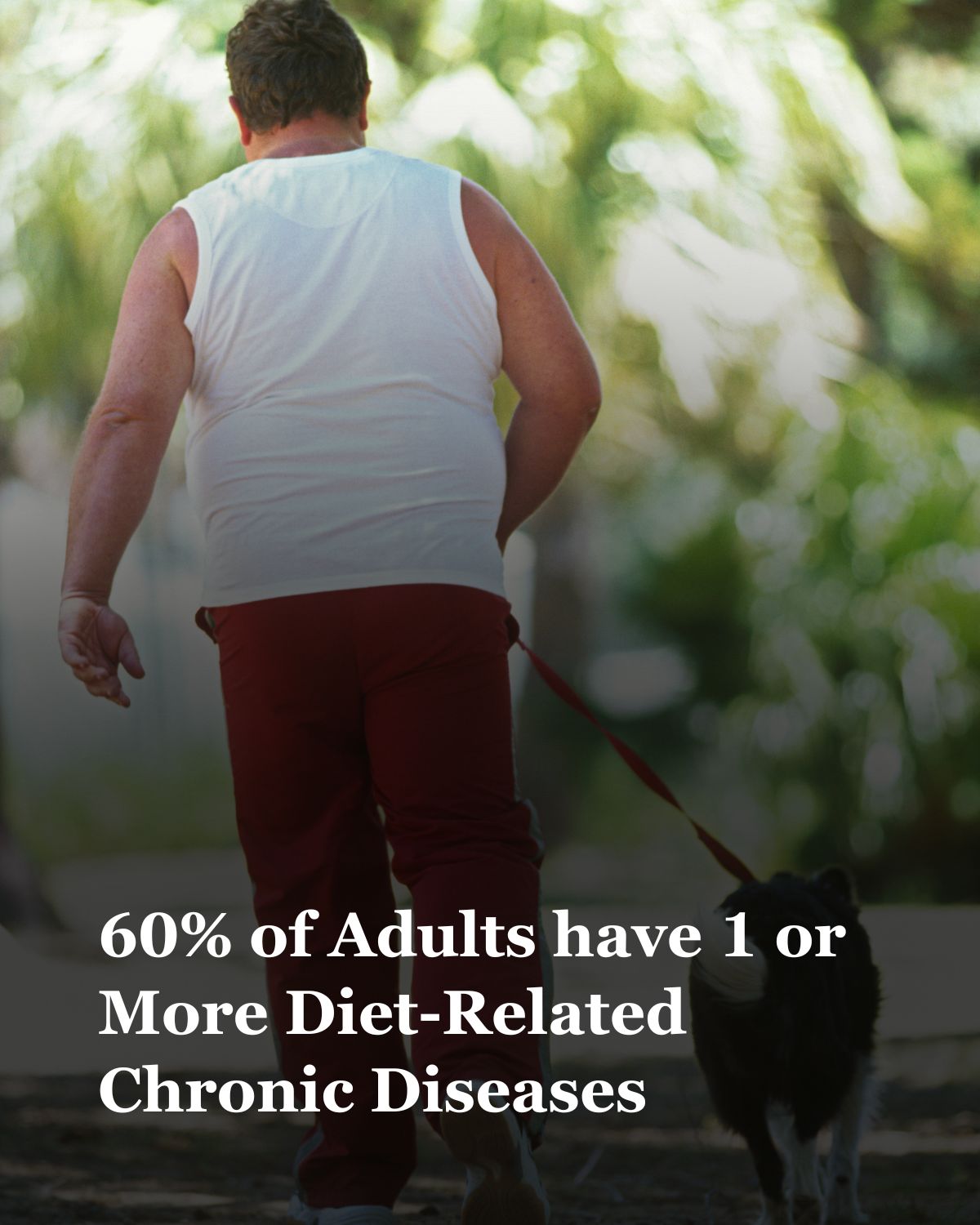60% of Adults have 1 or More Diet-Related Chronic Diseases