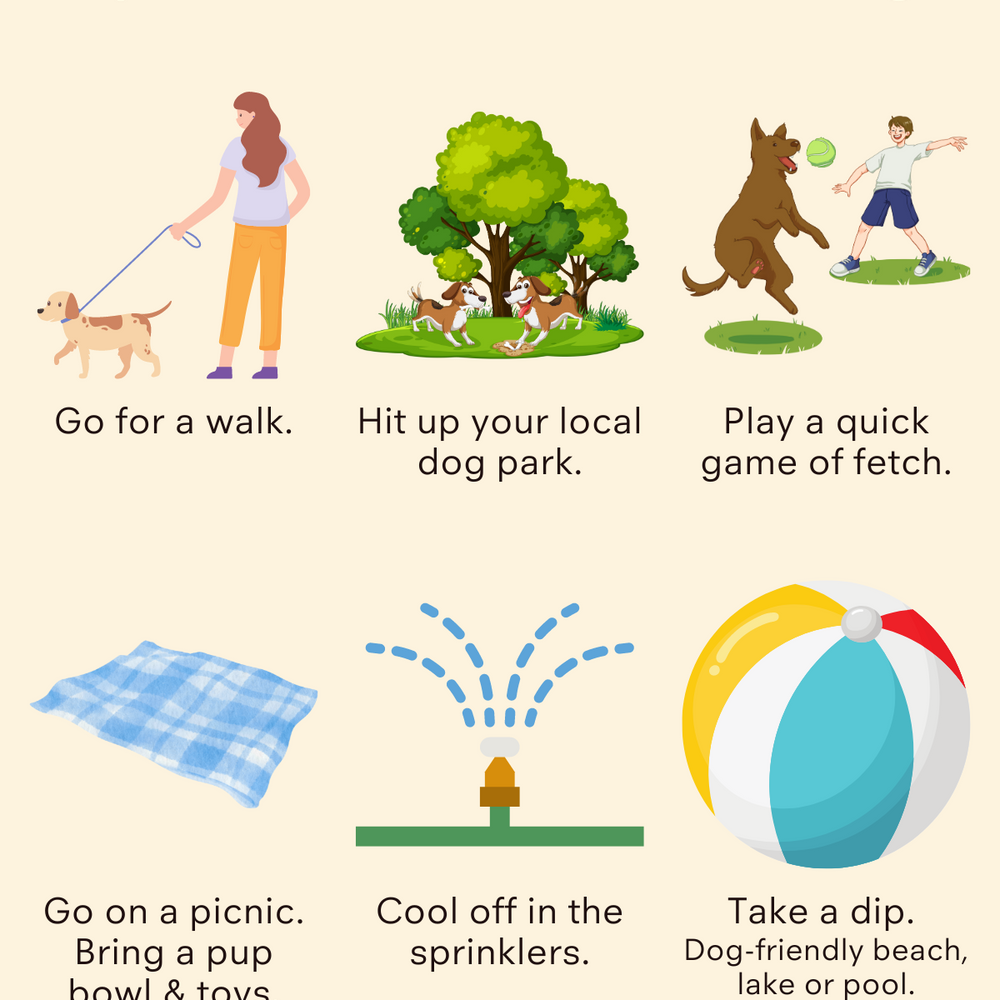 6 Fun Tips to Stay Active with Your Dog 🐾