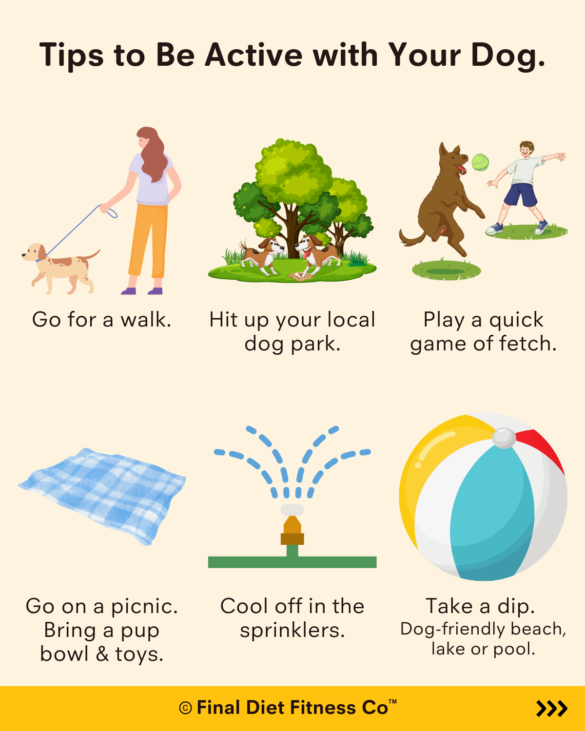 6 Fun Tips to Stay Active with Your Dog 🐾