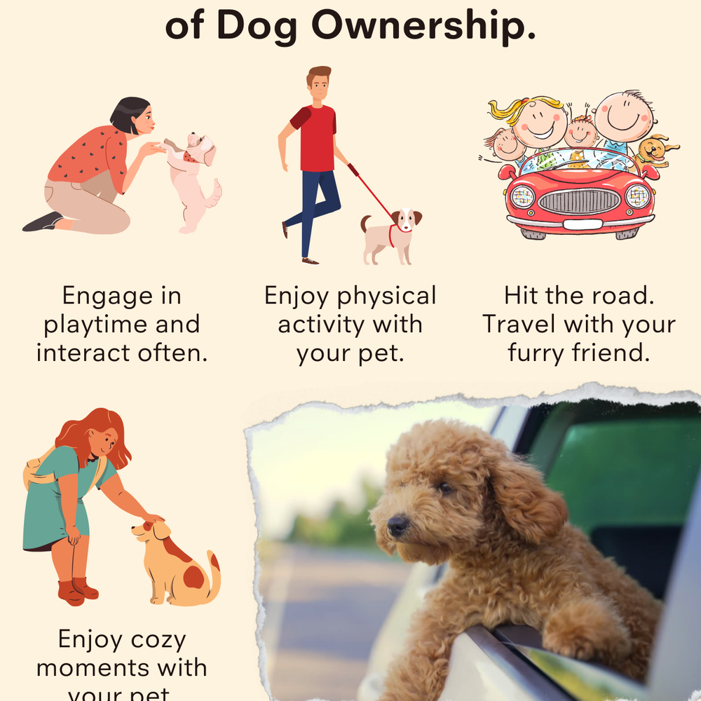 Maximize the Health Benefits of Dog Ownership 🐶