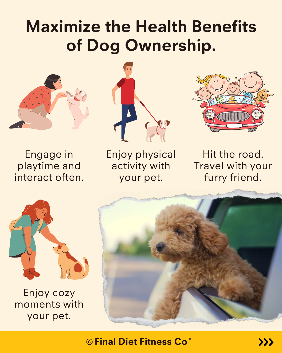 Maximize the Health Benefits of Dog Ownership 🐶