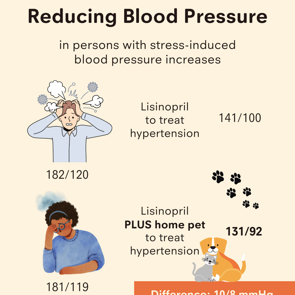 The Link Between Pet Ownership and Lower Blood Pressure