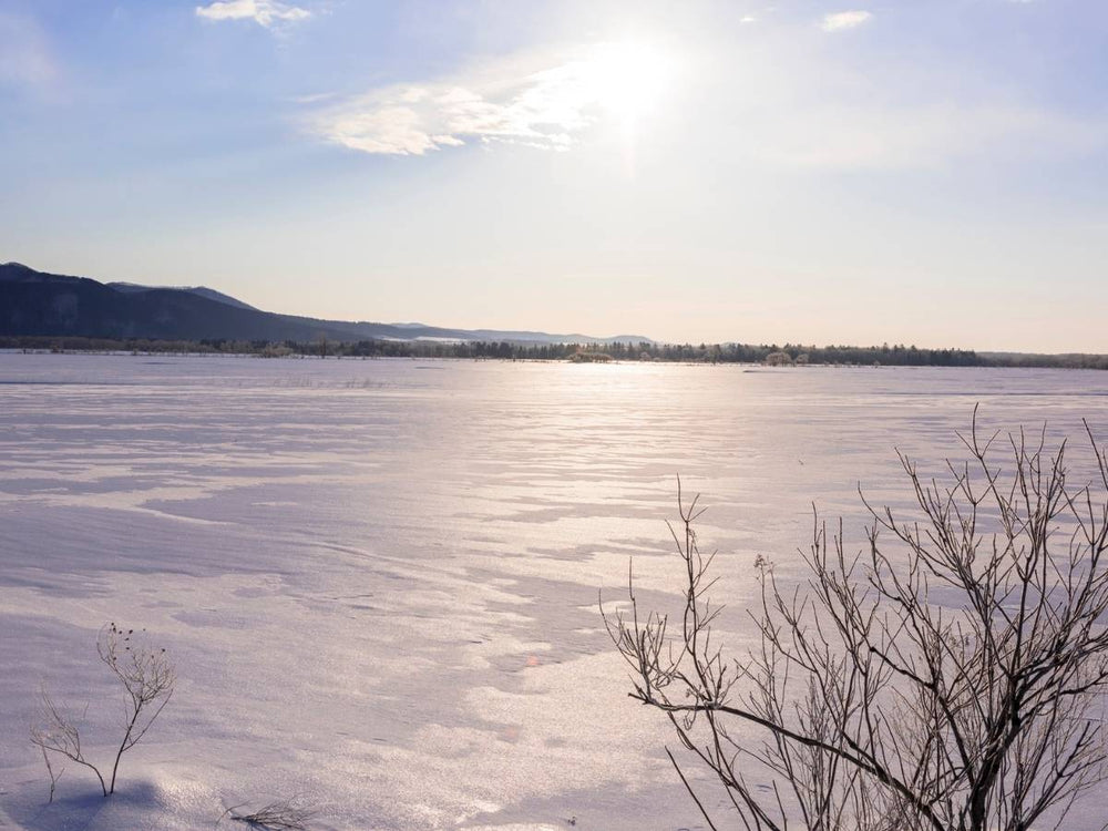 Winter & Vitamin D Supplementation: Boost Your Fitness & Health