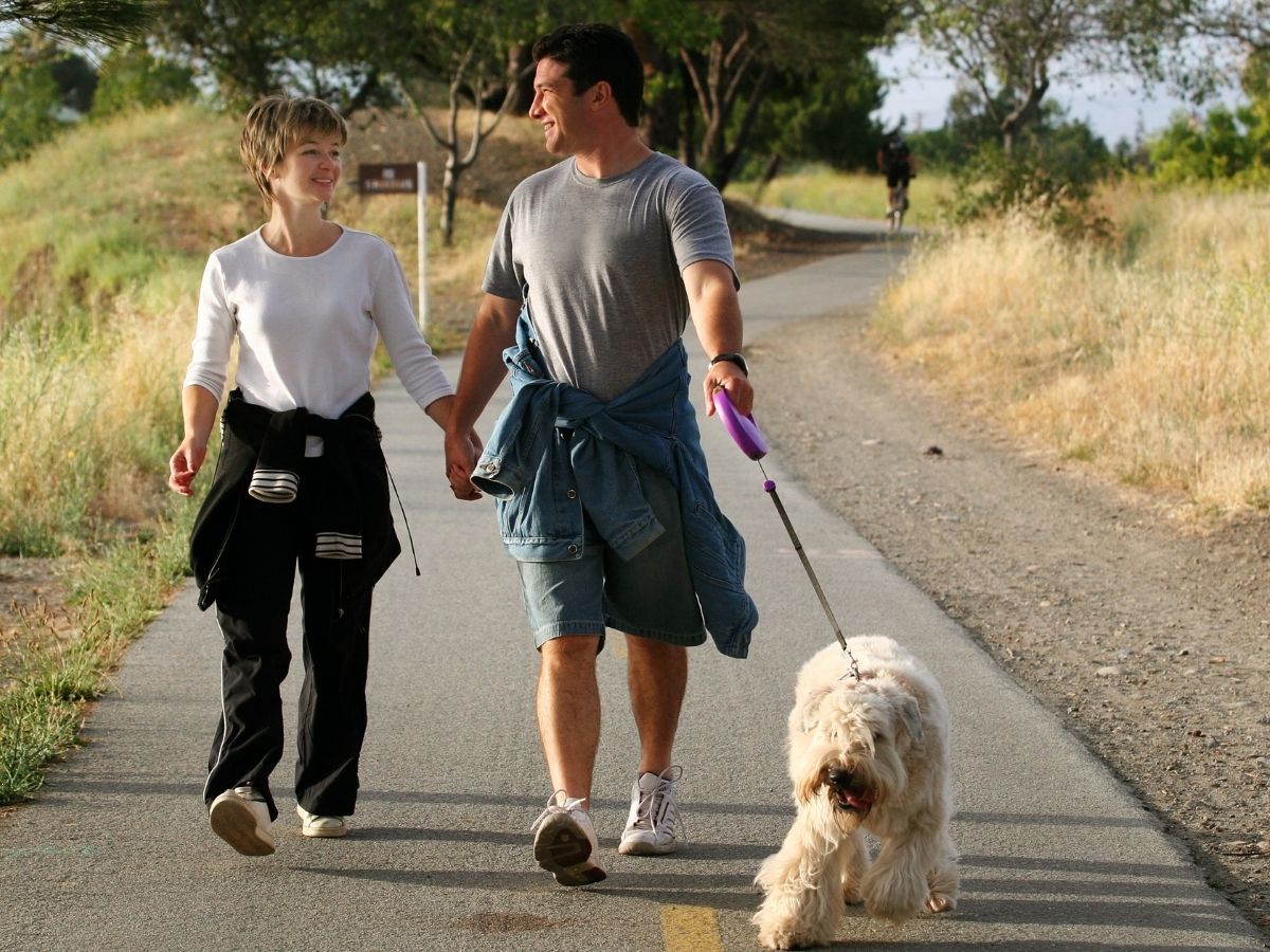 Steps & NEAT: Your Hidden Fat-Loss Advantage