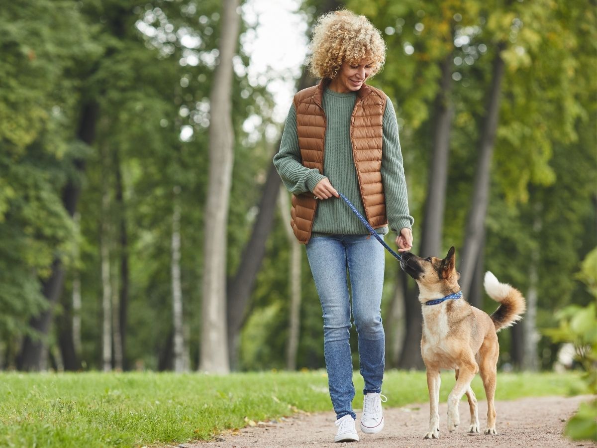 9 Everyday Activities That Burn Calories: Stay Active & Healthy