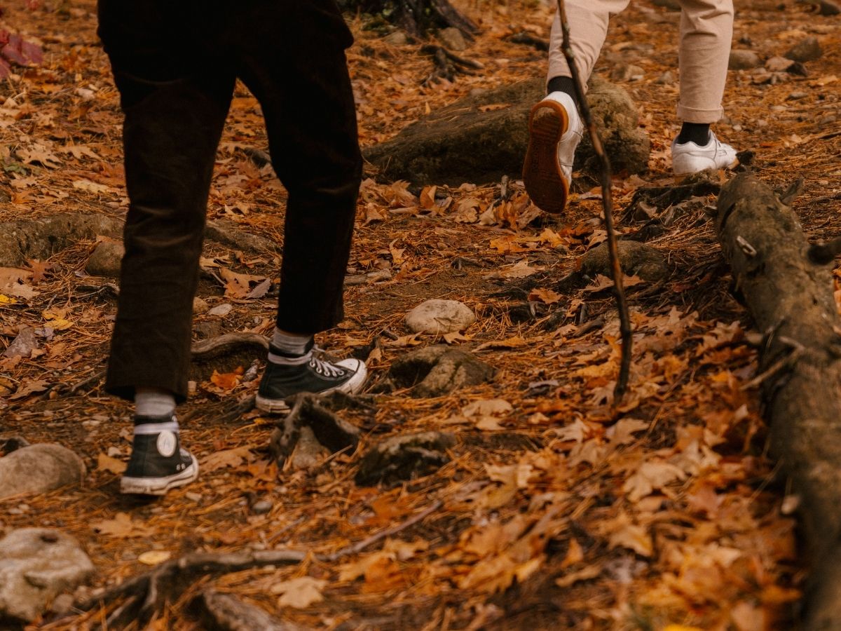 Boost Longevity: How Walking Just 3,900 Steps a Day Can Save Your Life