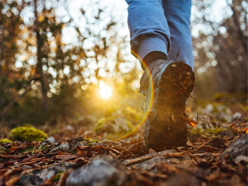 The Power of Steps: How Daily Walking Can Reduce Your Risk of Death and Disease