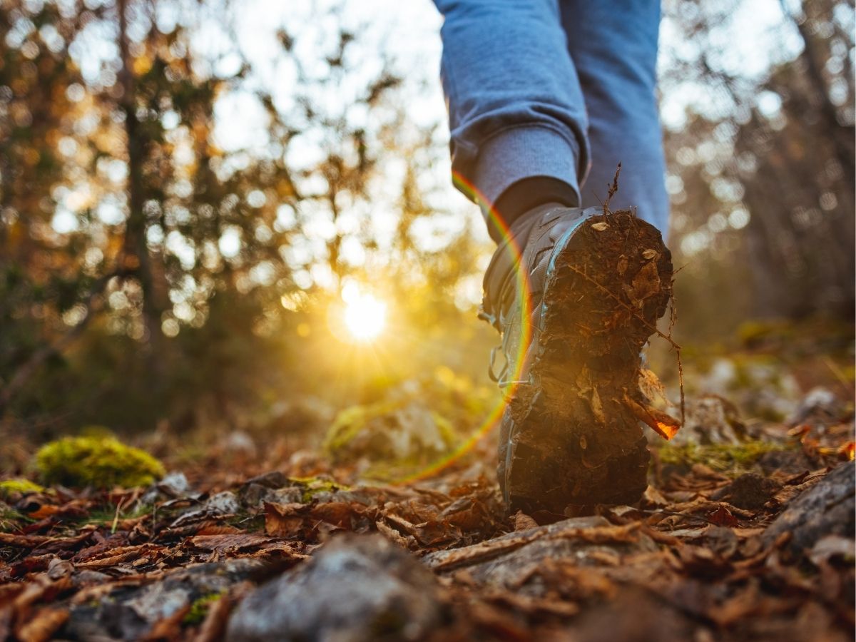 The Power of Steps: How Daily Walking Can Reduce Your Risk of Death and Disease