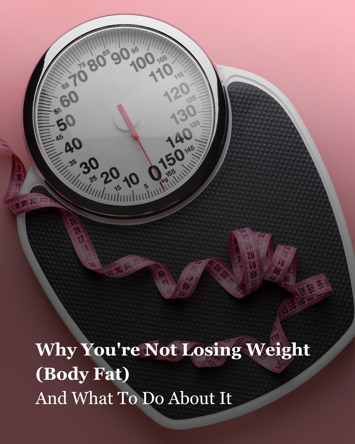 Why You're Not Losing Weight (Body Fat) — And What To Do About It
