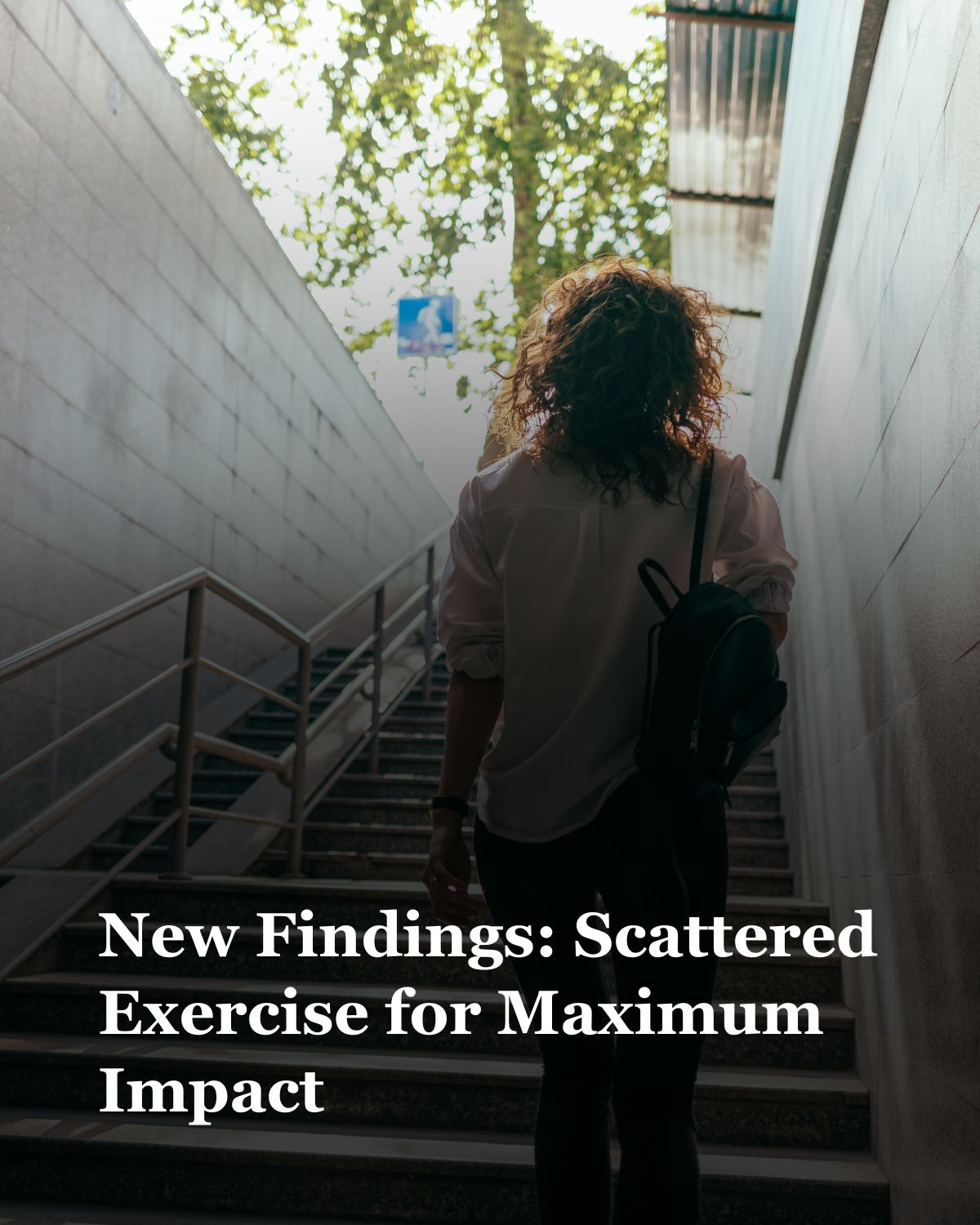 New Findings: Scattered Exercise for Maximum Impact