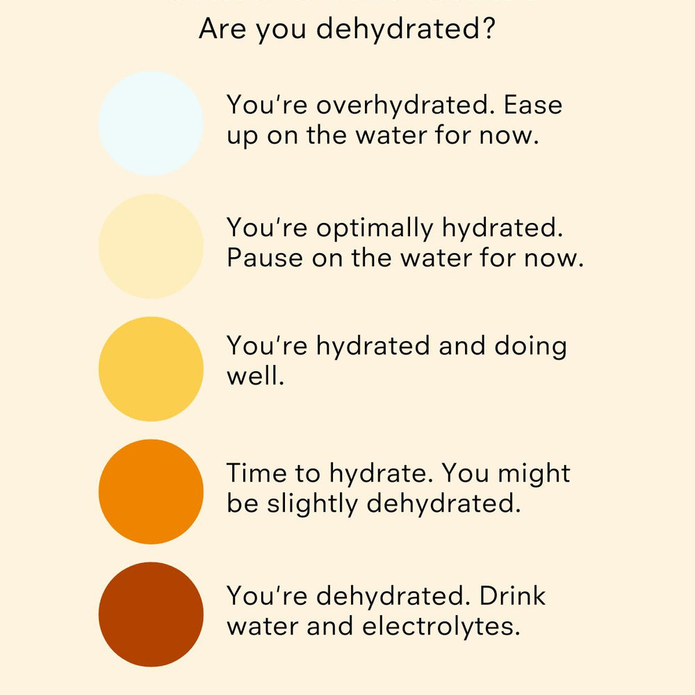 Hydration Tips for Peak Performance: How Water Fuels Your Body