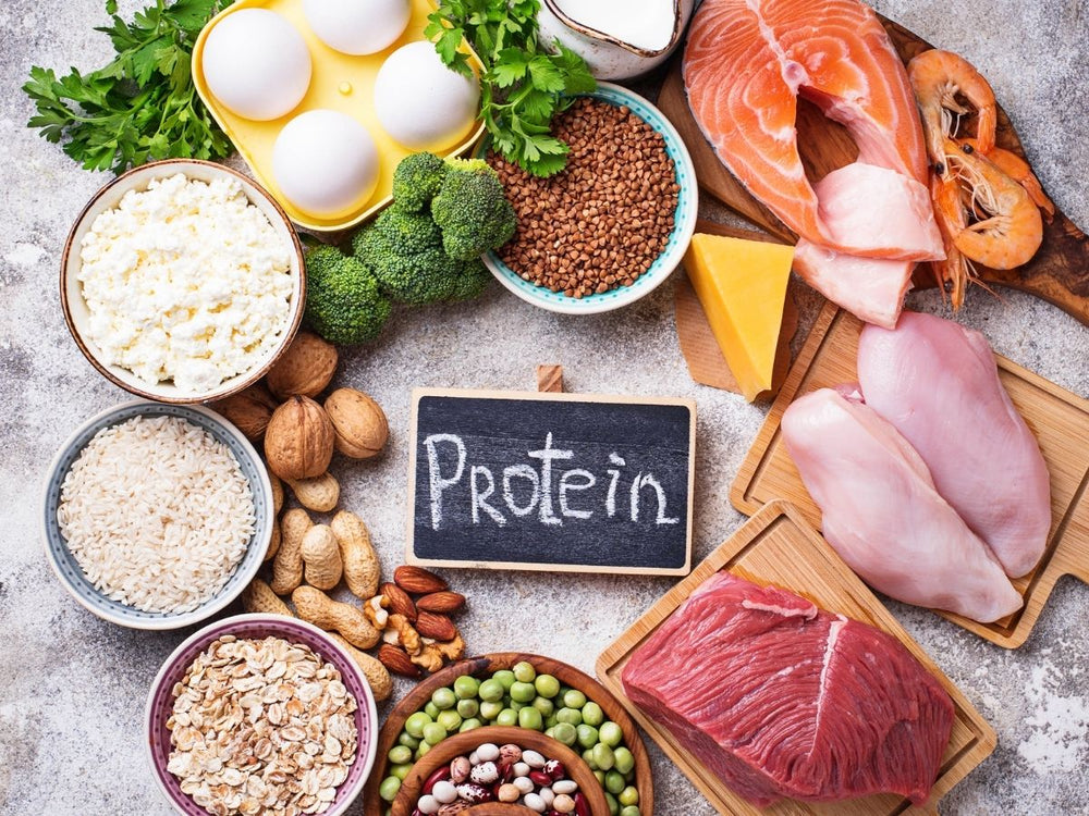 Protein: The Most Important Macro