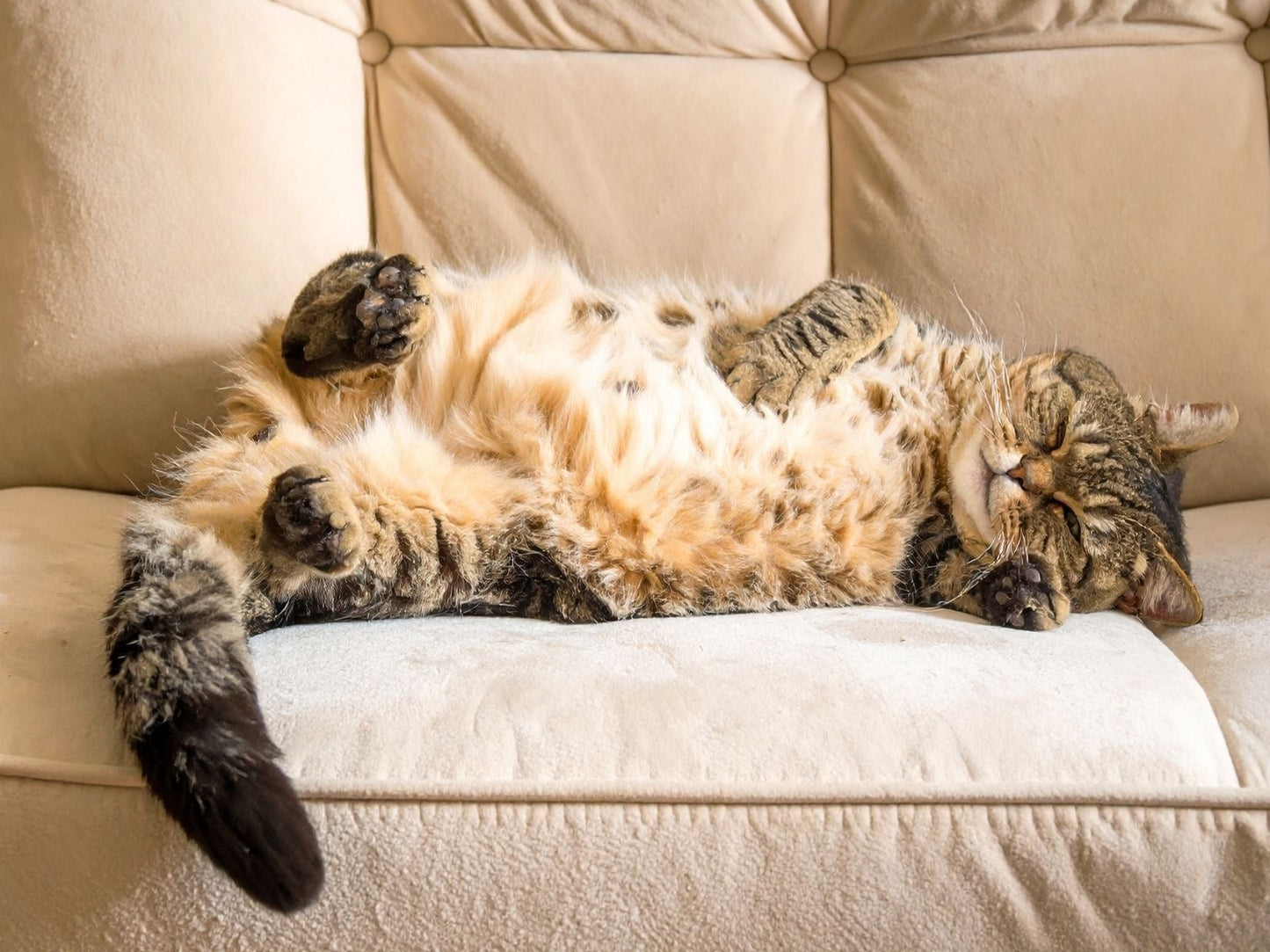 Keep a Consistent Bedtime and Morning Rhythm to Start Strong Each Day