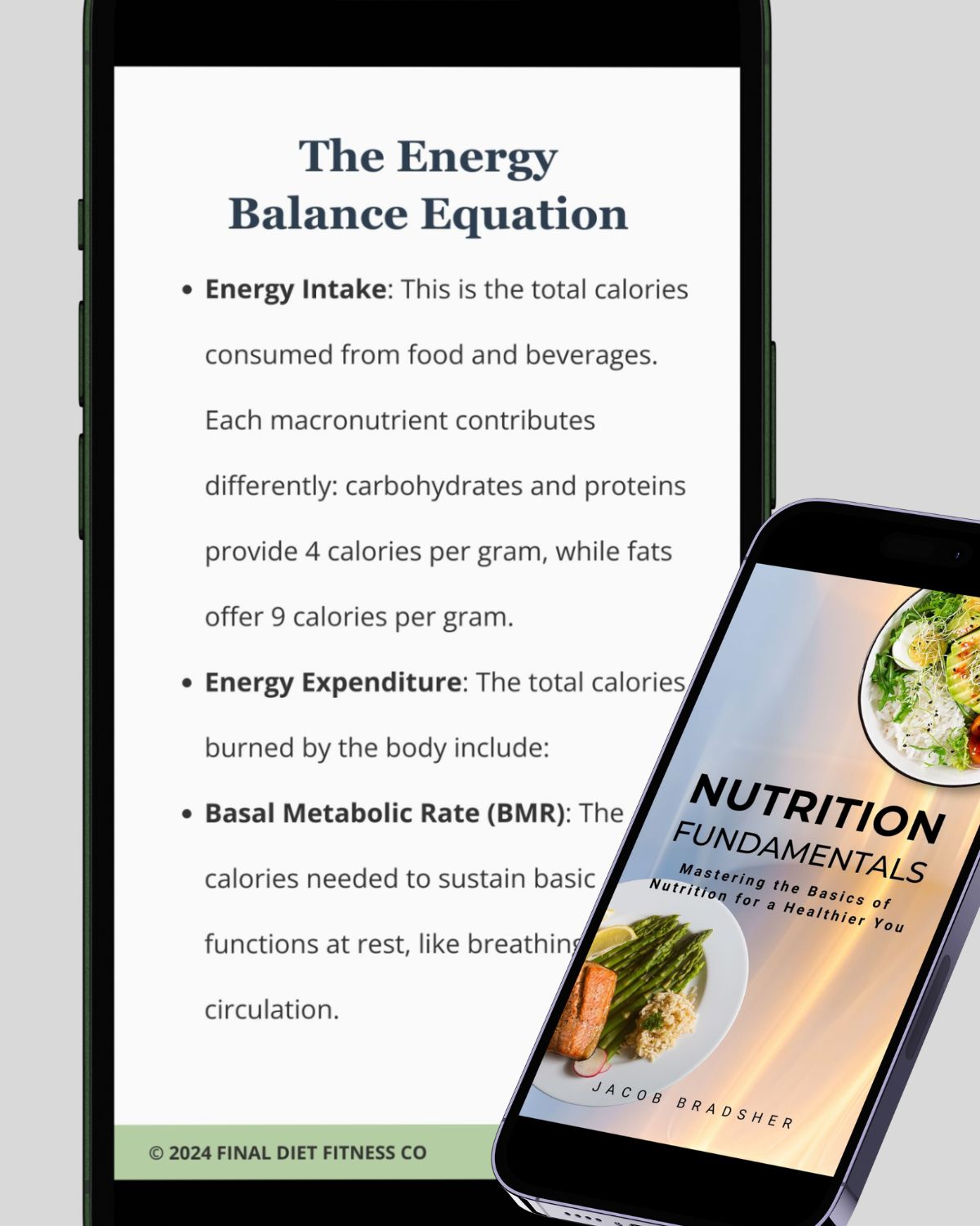 
                  
                    Nutrition Fundamentals
                  
                